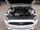 Engine View