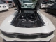 Engine View
